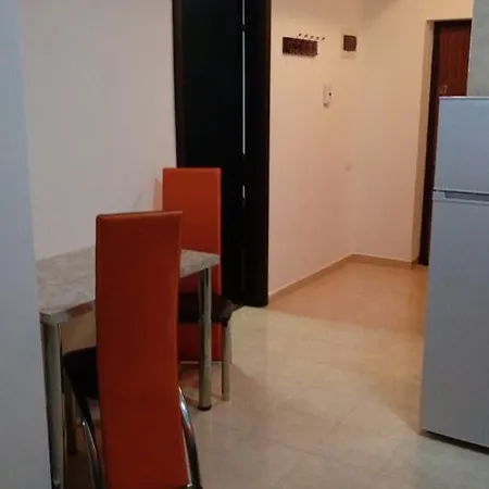 Garsoniera Andrei Διαμέρισμα